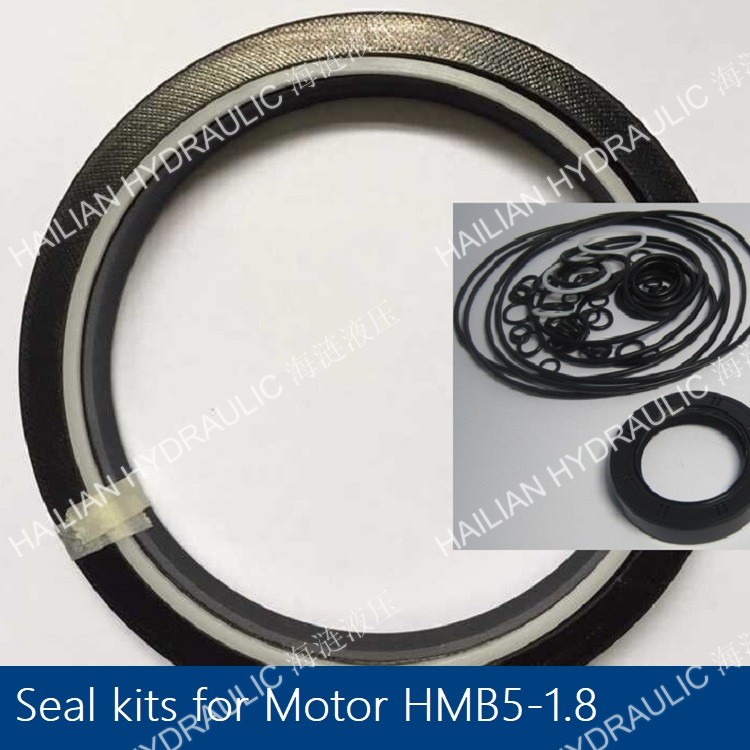 Seal kits for Motor HMB5-2.8(1).jpg