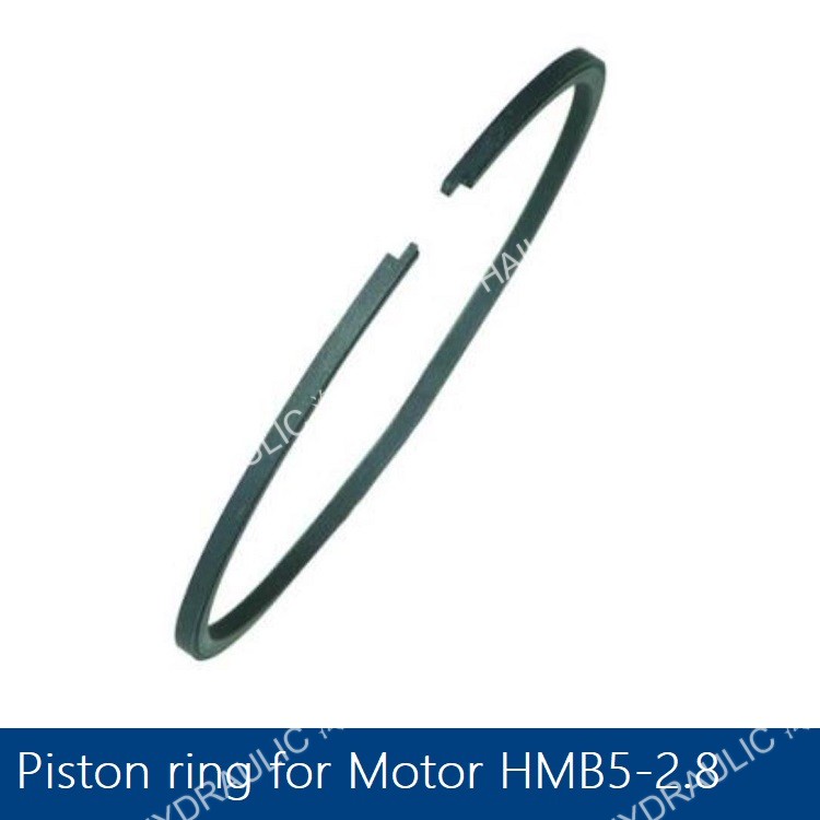 Pison ring for HMB5(1).jpg