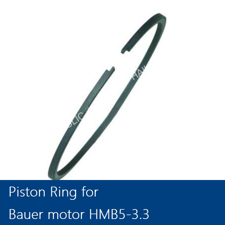 Pison ring for HMB5(1).jpg