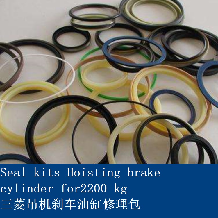 Seal kits for2200KG-1.jpg