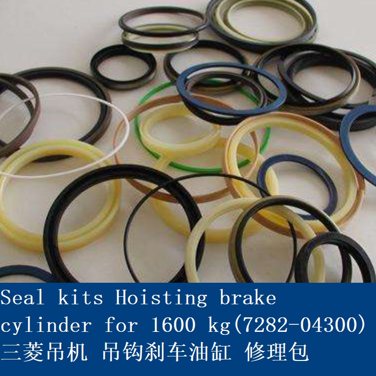 Seal kits for 1200KG-1.jpg