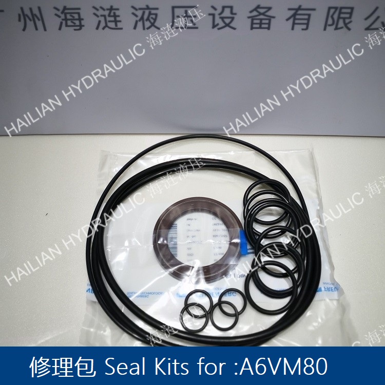 Seal Kits for A6VM80(1).jpg